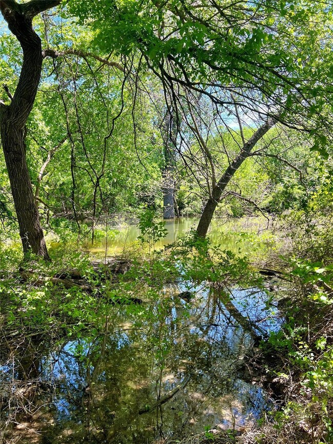 TBD Forest Trail Ct, Weatherford, TX 76085 - photo 3