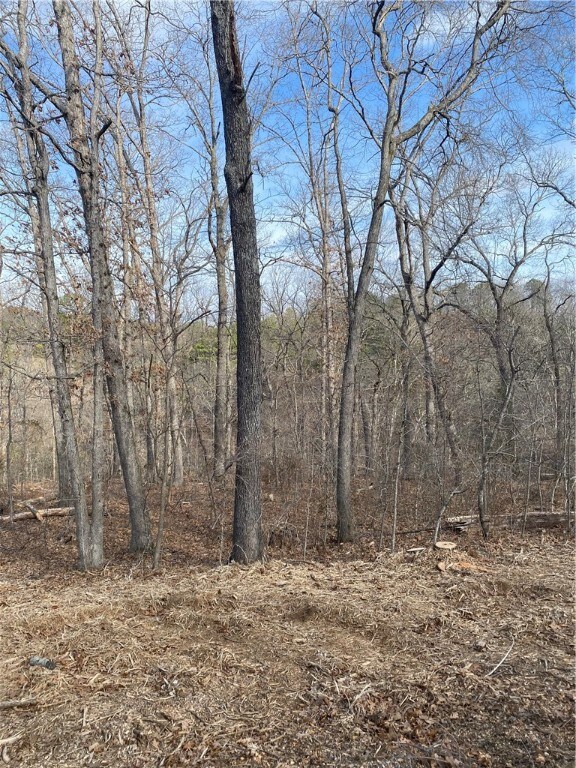 1 Leicester Dr, Bella Vista, AR 72714 - photo 2