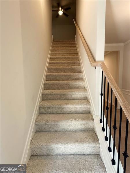 4561 Grenadine Cir, Acworth, GA 30101 - photo 4