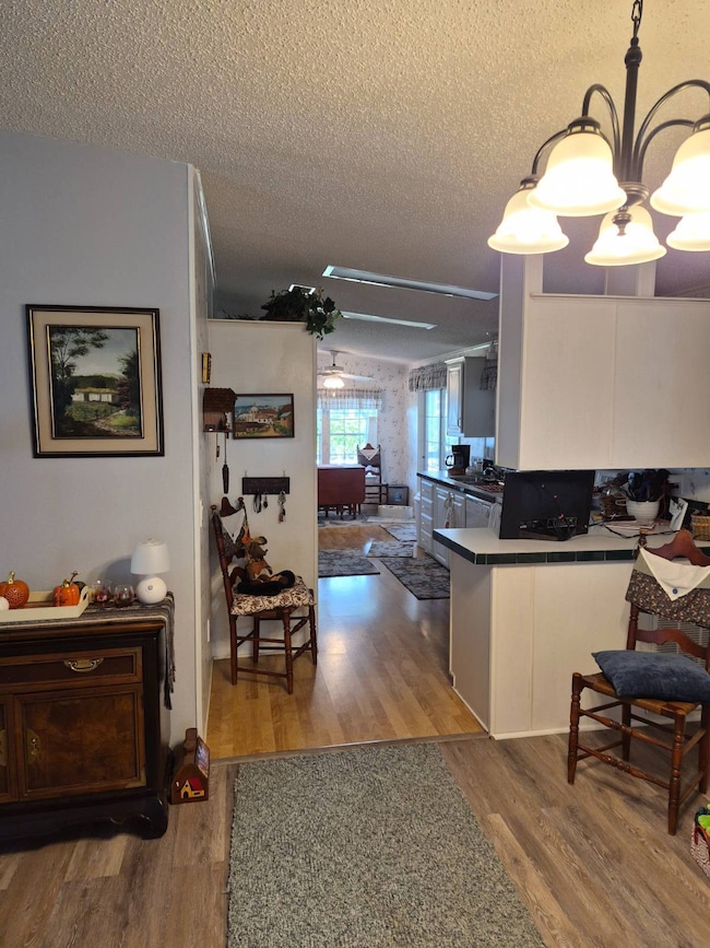 8141 Mill Springs Dr, New Port Richey, FL 34653 - photo 7