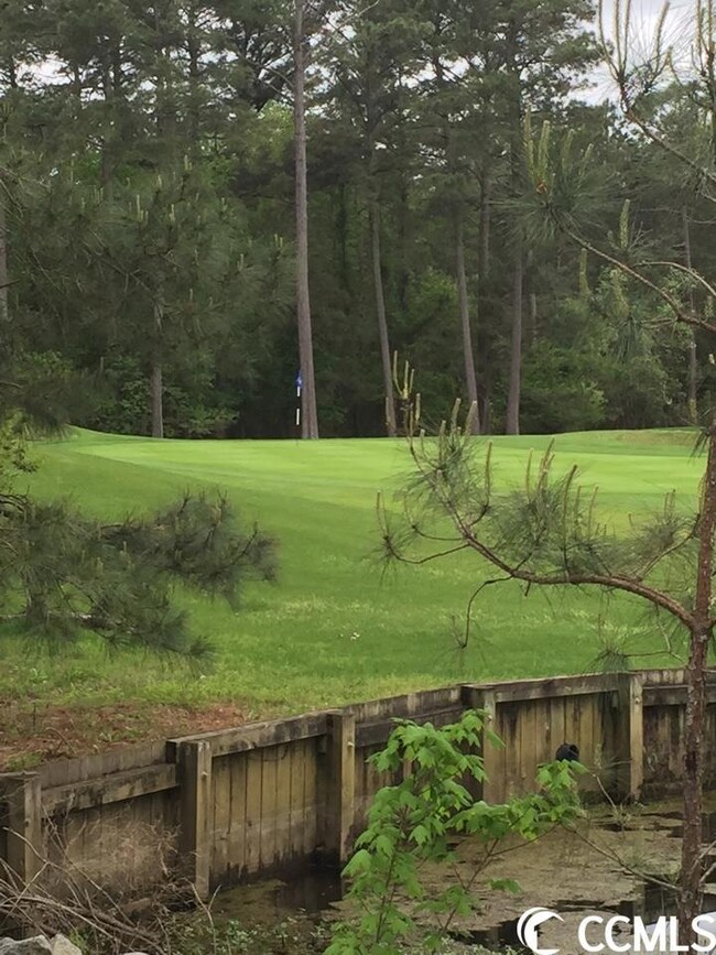 146 Scotch Broom Dr unit P-105, Little River, SC 29566 - photo 3