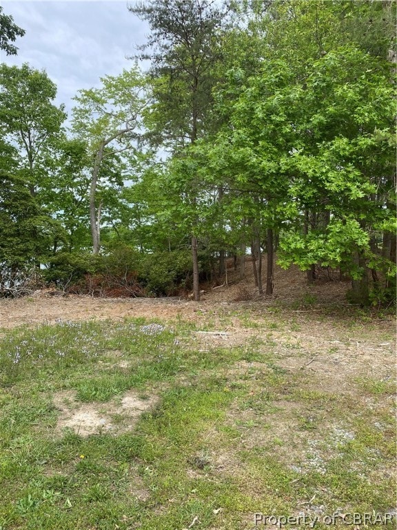 Map 17 Whittstat Ln, Heathsville, VA 22473 - photo 2
