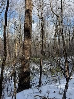 18N Bear Paw Rd, Jasper, GA 30143 - photo 2