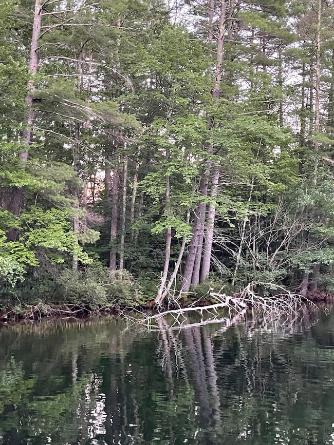 Lot 11 Dillingham Rd, Naples, ME 04055 - photo 6