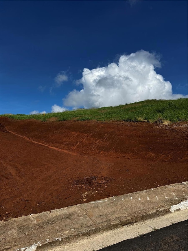 0 Carr 155 Km 31 2 Int Bo Barros unit Lote 1, Orocovis, PR 00720 - photo 2