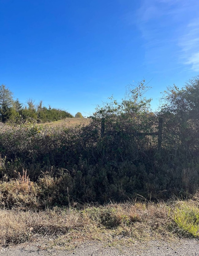 Tract 22 Waymire Road, Howe, OK 74940 - photo 4