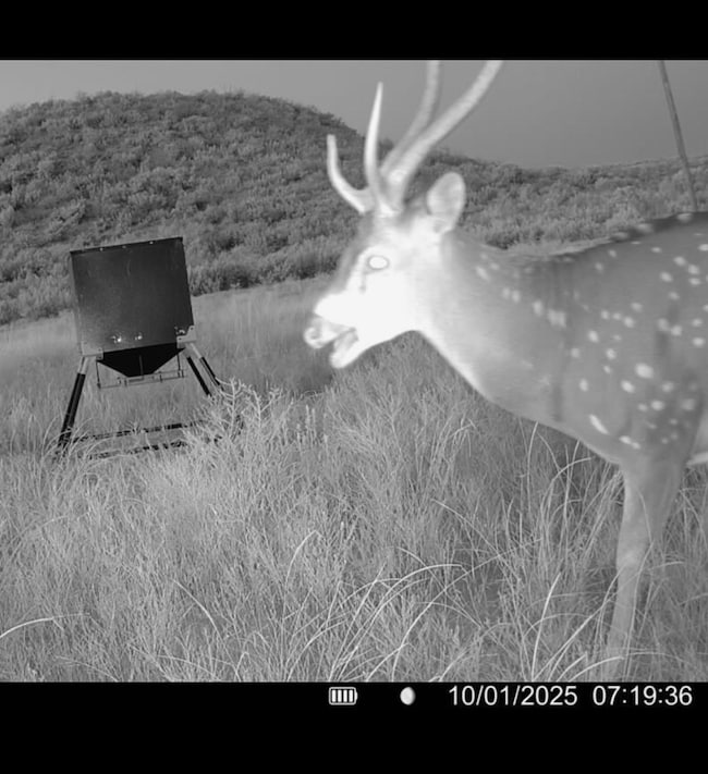 0000 Poverty Canyon Rd, Bronte, TX 76933 - photo 5