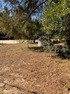 126 Yeatts Ave, Interlachen, FL 32148 - photo 4