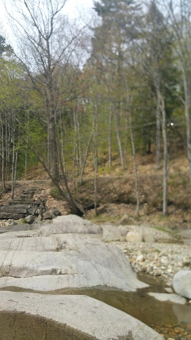 71 Emery, Bartlett, NH 03812 - photo 7