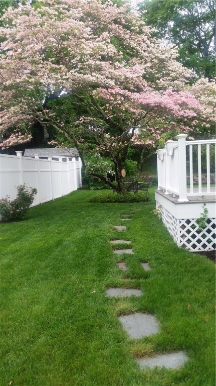 Dogwood