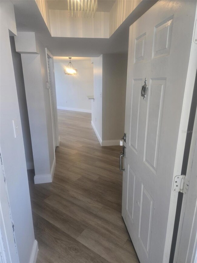 Isla Key unit 215, Saint Petersburg, FL 33715 - photo 3