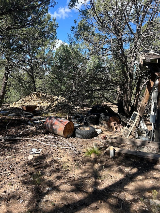 20 Millionaire Cir, Cedro, NM 87059 - photo 3