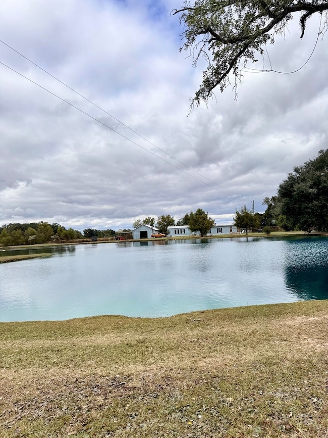 7268 Lodgetown Rd, Pelham, GA 31779 - photo 5