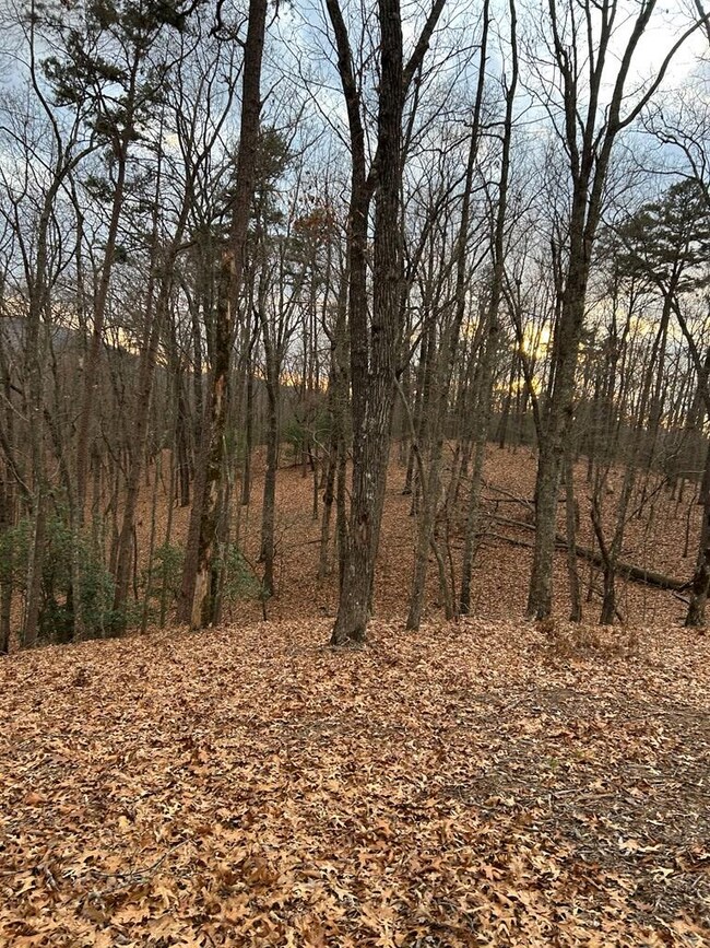 0 Tracks Hollow, Murphy, NC 28906 - photo 3