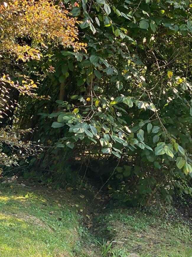 0 Bilbrey Qualls Rd, Cookeville, TN 38506 - photo 2