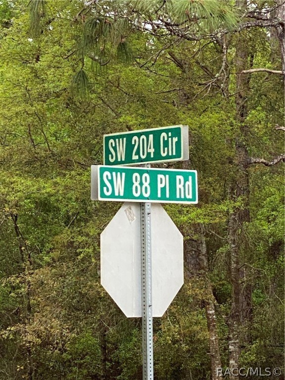 0 SW 204th Cir, Dunnellon, FL 34431 - photo 4