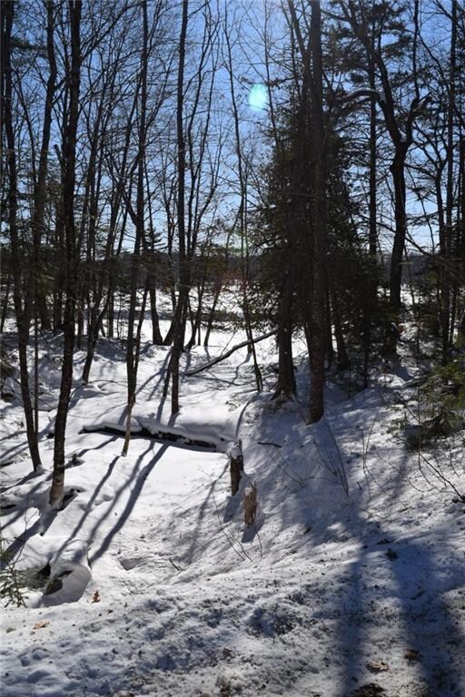 Brook Northern Property Line