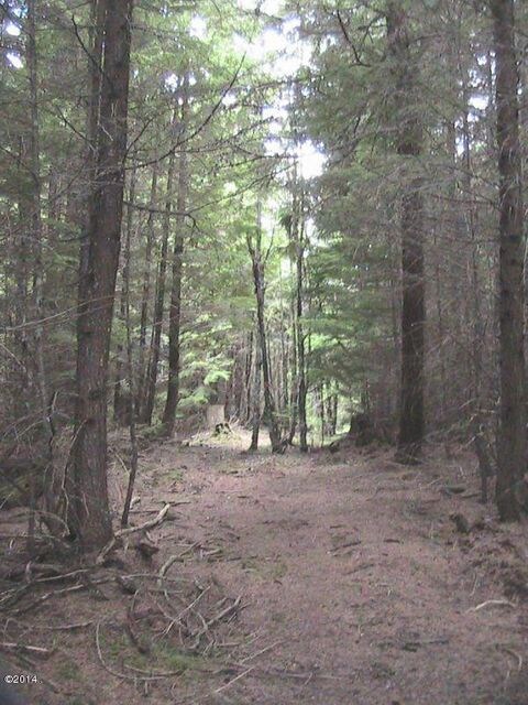 Cleared trails throughout property