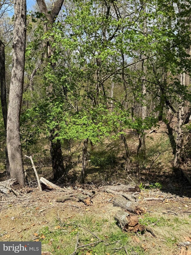 44 Wilburtha Rd, Ewing, NJ 08628 - photo 6