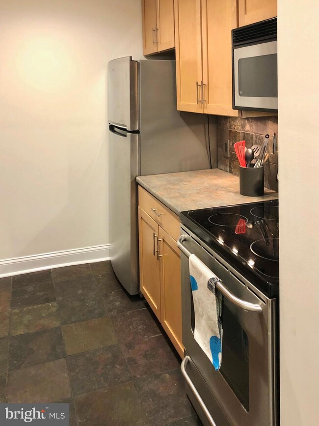 116 N Indian Aly unit 205, Winchester, VA 22601 - photo 6