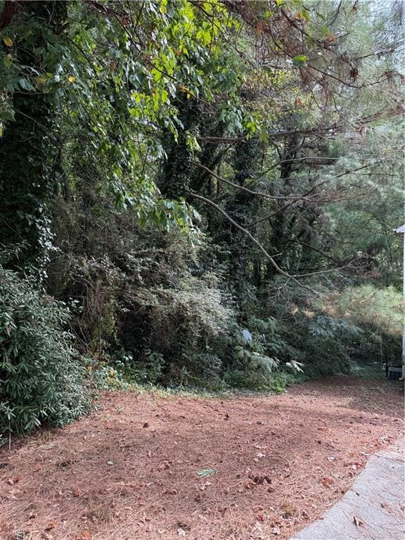 3646 Cobb Creek Ct, Decatur, GA 30032 - photo 2