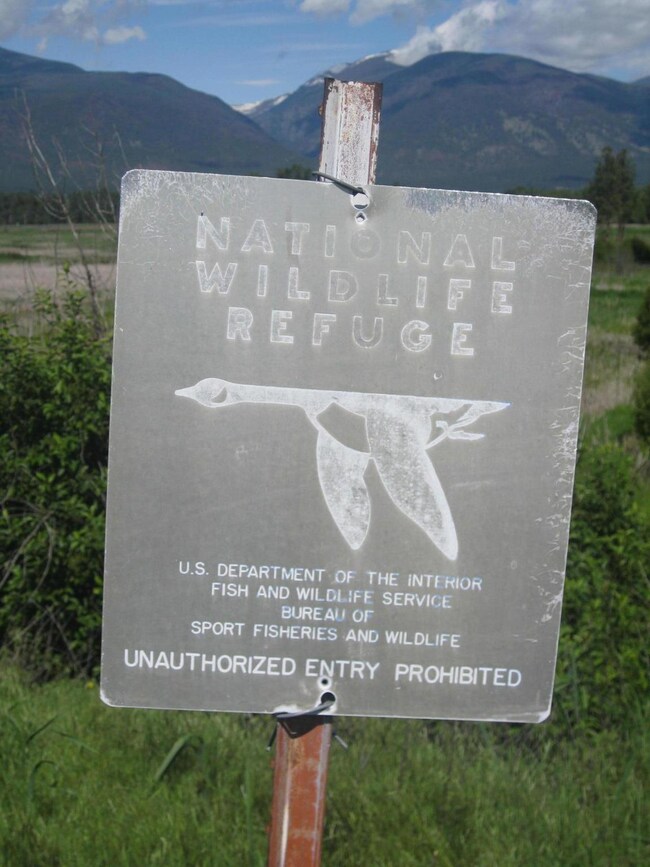 354 Metcalf Vista Rd, Stevensville, MT 59870 - photo 4