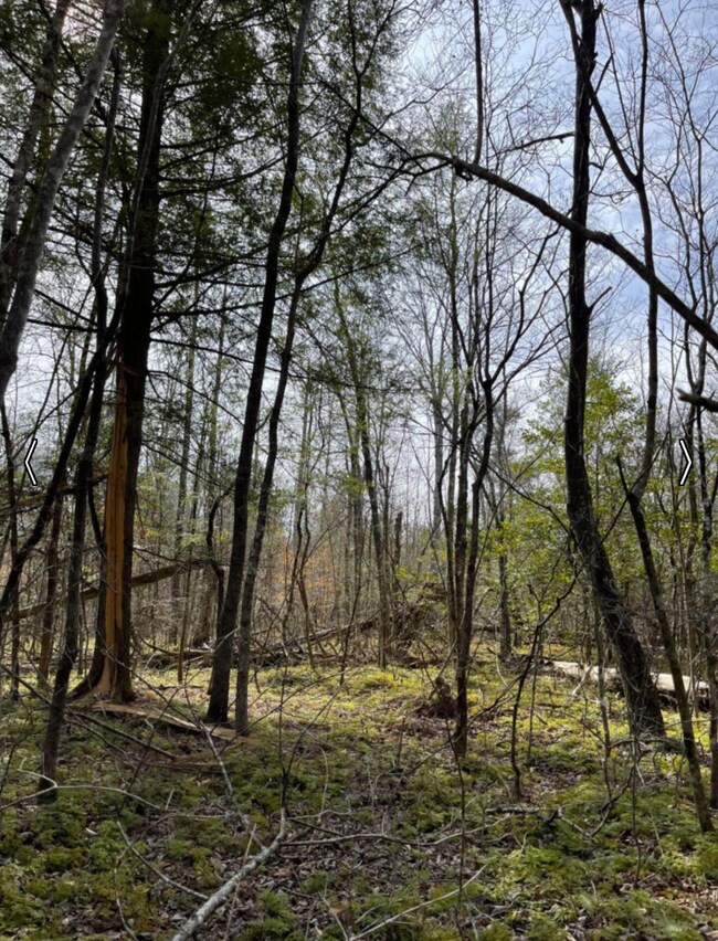 Tract Shadow Ridge Dr, Williamsburg, KY 40769 - photo 5