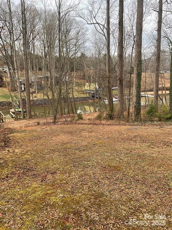 4995 Wildlife Ln unit 1, Lake Norman of Catawba, NC 28673 - photo 7