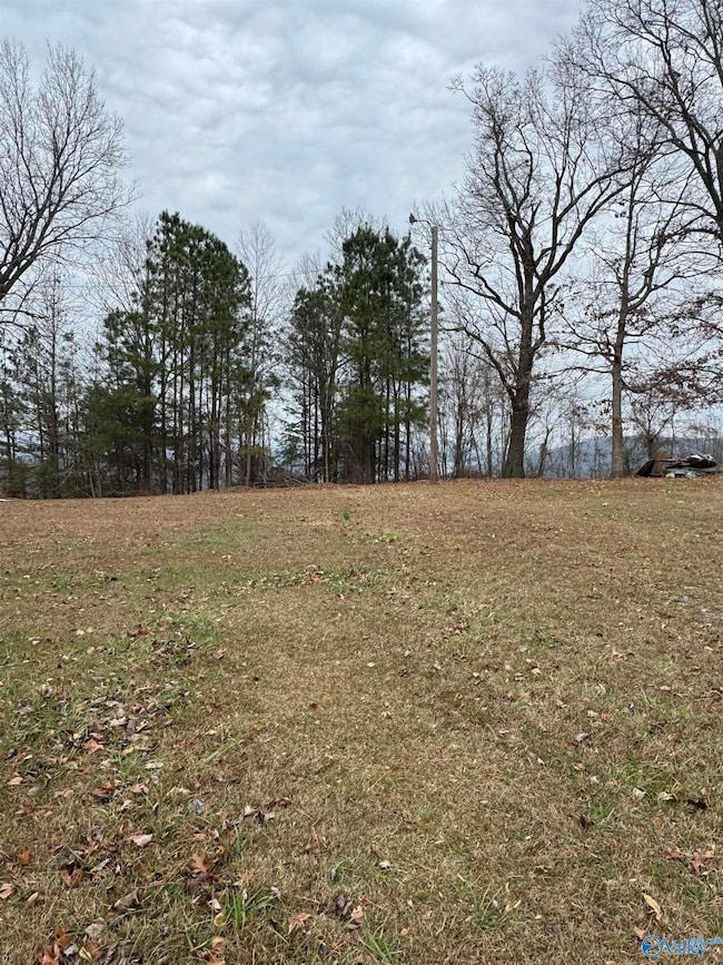 1960 County Road 223, Dutton, AL 35744 - photo 5