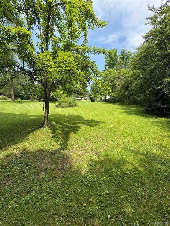 Back of the property