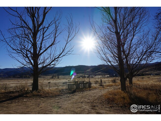 7195 McMurry Ranch Rd, Bellvue, CO 80512 - photo 6