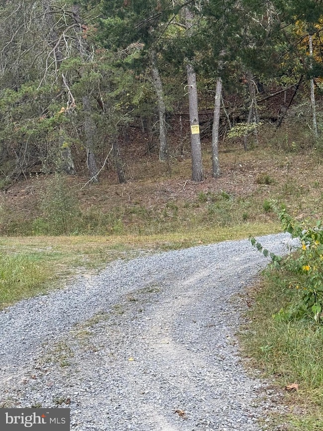 1684 Posey Hollow Rd, Berkeley Springs, WV 25411 - photo 3