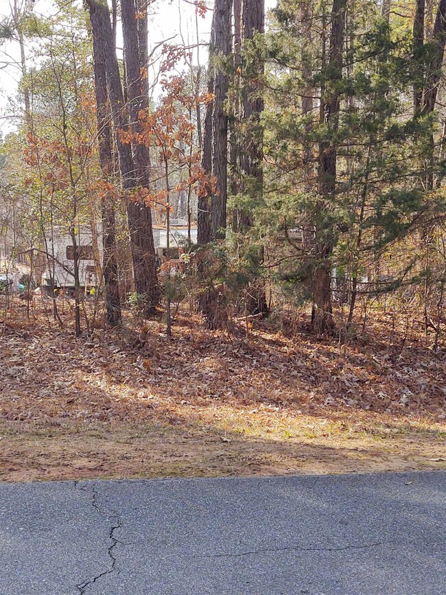 100 Ojibwa Dr, Louisburg, NC 27549 - photo 2