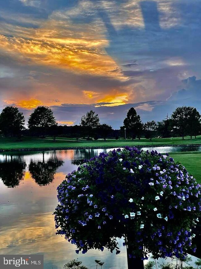 24976 Pot Bunker Way unit 3704, Millsboro, DE 19966 - photo 6