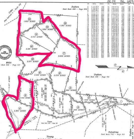 Two different roads to view on. Split up?