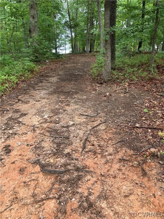 00 Blackwell Rd, Buckingham, VA 24590 - photo 2