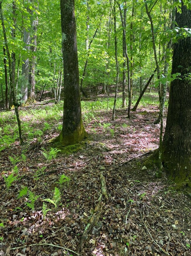 L409 Summit Ln, Ellijay, GA 30540 - photo 3