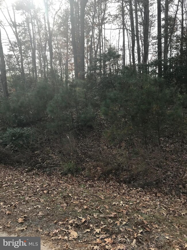 0 Matilda Ln, Montross, VA 22520 - photo 3