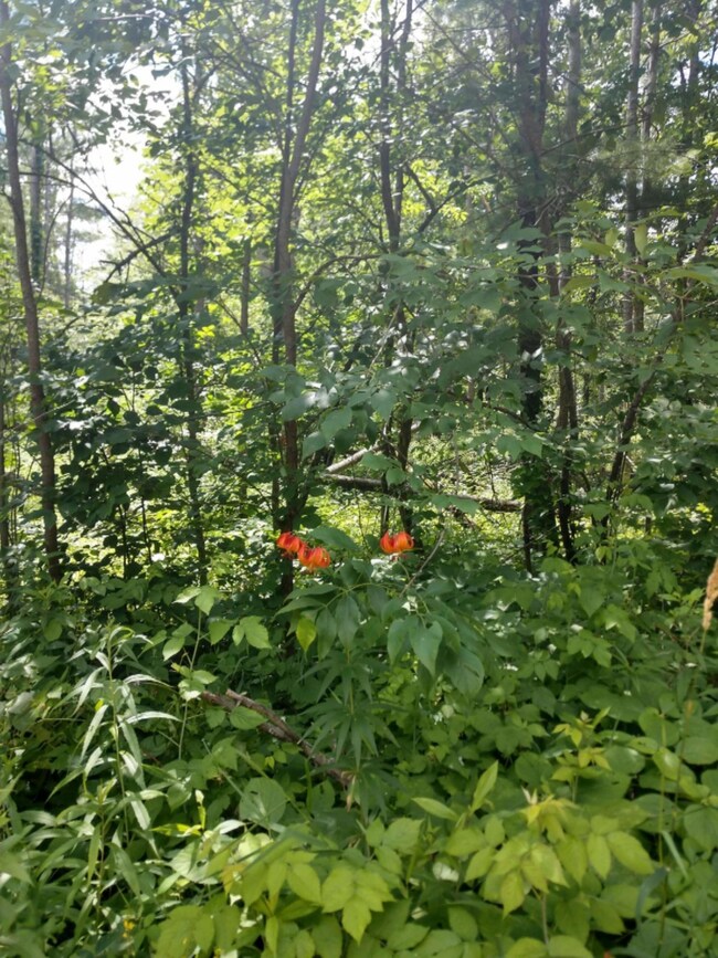 IMG_20200716_135419090_HDR