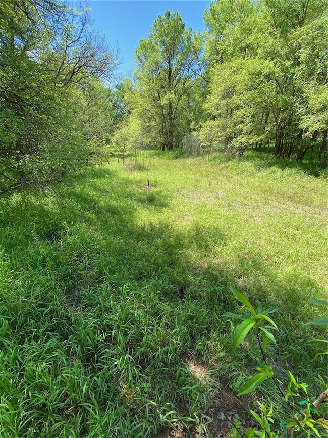 354 Lipan Trail, Horseshoe Bend, TX 76087 - photo 7