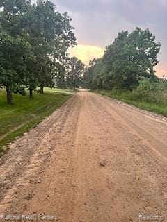 00 W Vogt Rd, Conway Township, MI 48836 - photo 7