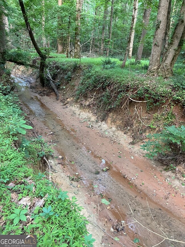 0 Callaway Rd unit 10657781, Rayle, GA 30660 - photo 6