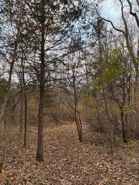 21001 Vergus Ave, Spring Lake Township, MN 55372 - photo 5