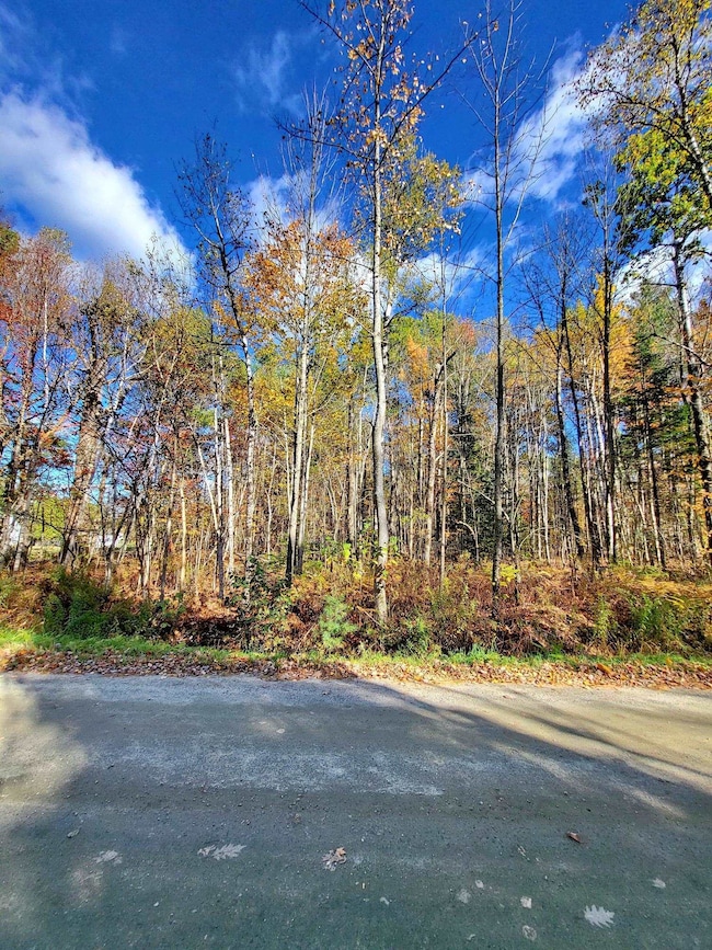 00 Swazey Ln unit 14, Bethlehem, NH 03574 - photo 7