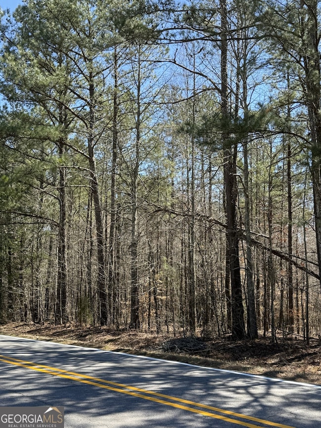 1450 Whooping Creek Church Rd, Carrollton, GA 30116 - photo 7