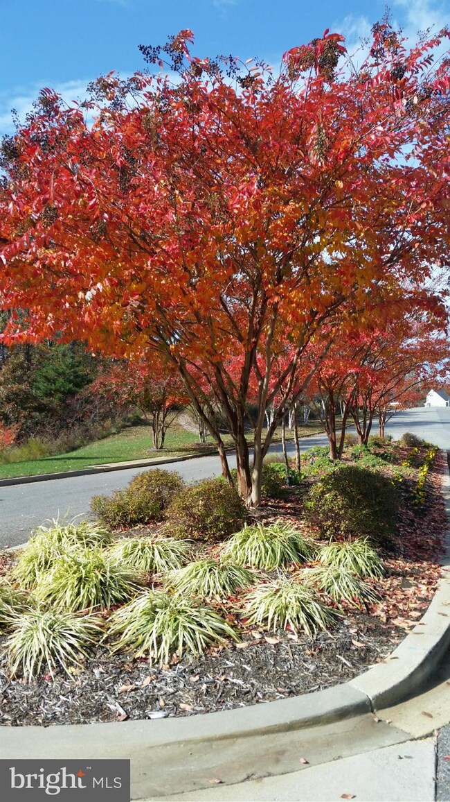 45202 Woodhaven Dr, California, MD 20619 - photo 5