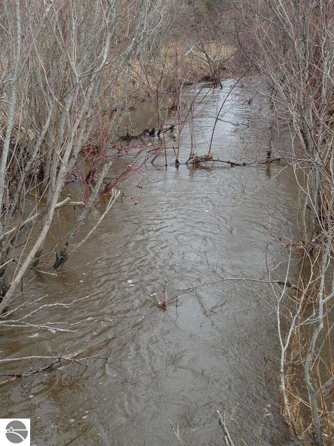 266 Swartz Rd, Twining, MI 48766 - photo 5