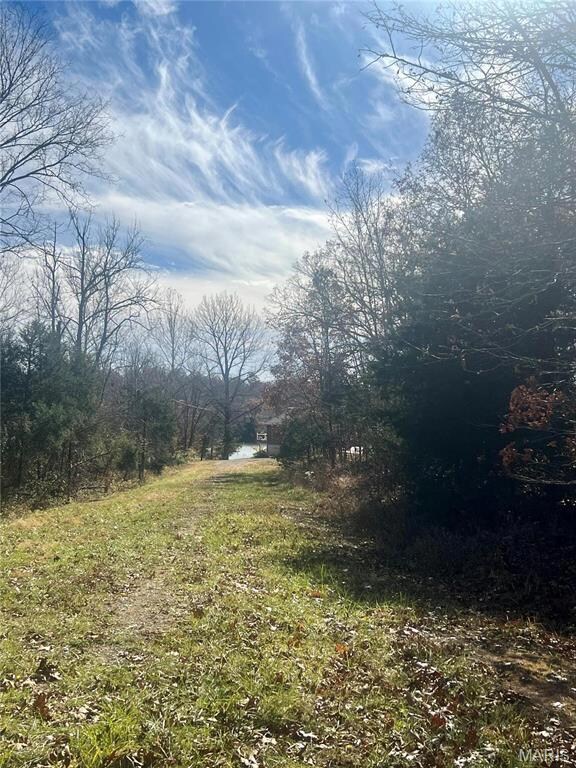 0 Mimeaux unit MIS25077788, Bonne Terre, MO 63628 - photo 6