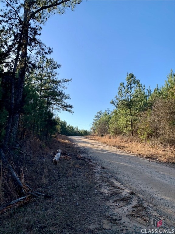 0 Gene Smith Rd unit 1013872, Carlton, GA 30627 - photo 3