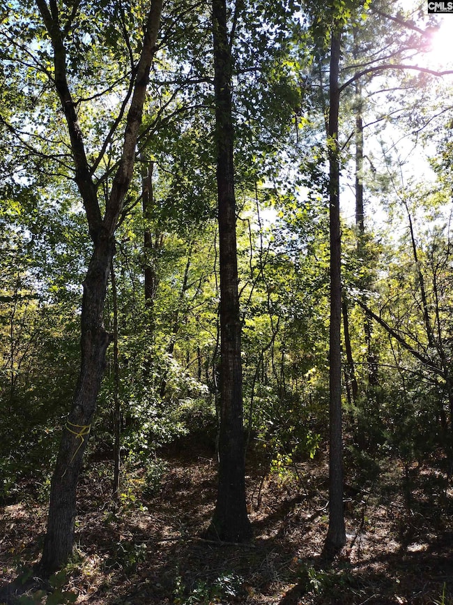 TBD Sam Koon Rd, Little Mountain, SC 29075 - photo 4